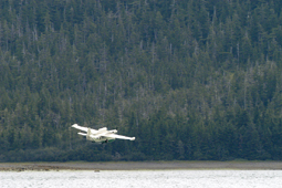 Grumman Goose fly out Price William
