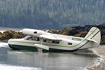 Photo of Grummon Goose Alaska