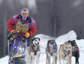 Photo of sled dog rac