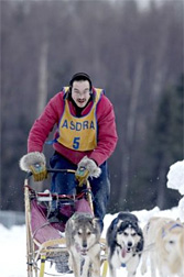Photo of sled dog rac